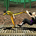 Dragon Fist 3D