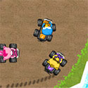 Raccoon Racing