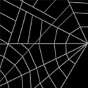 Arachnophilia